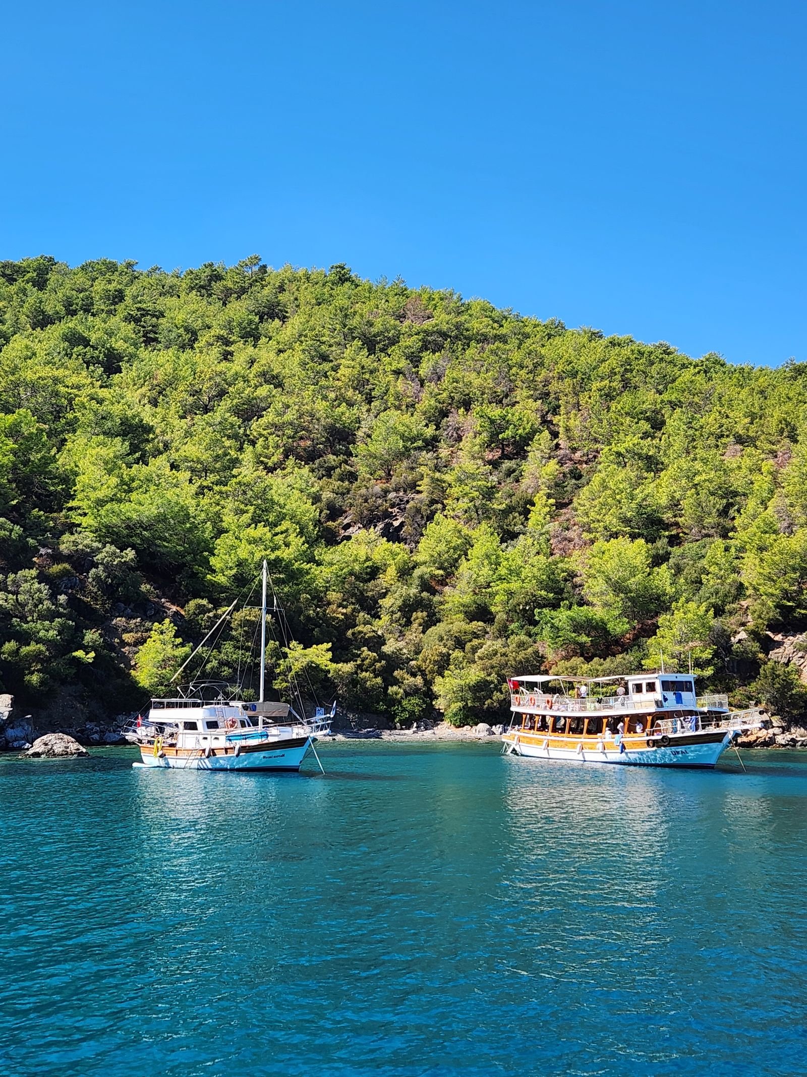 Boat Trips