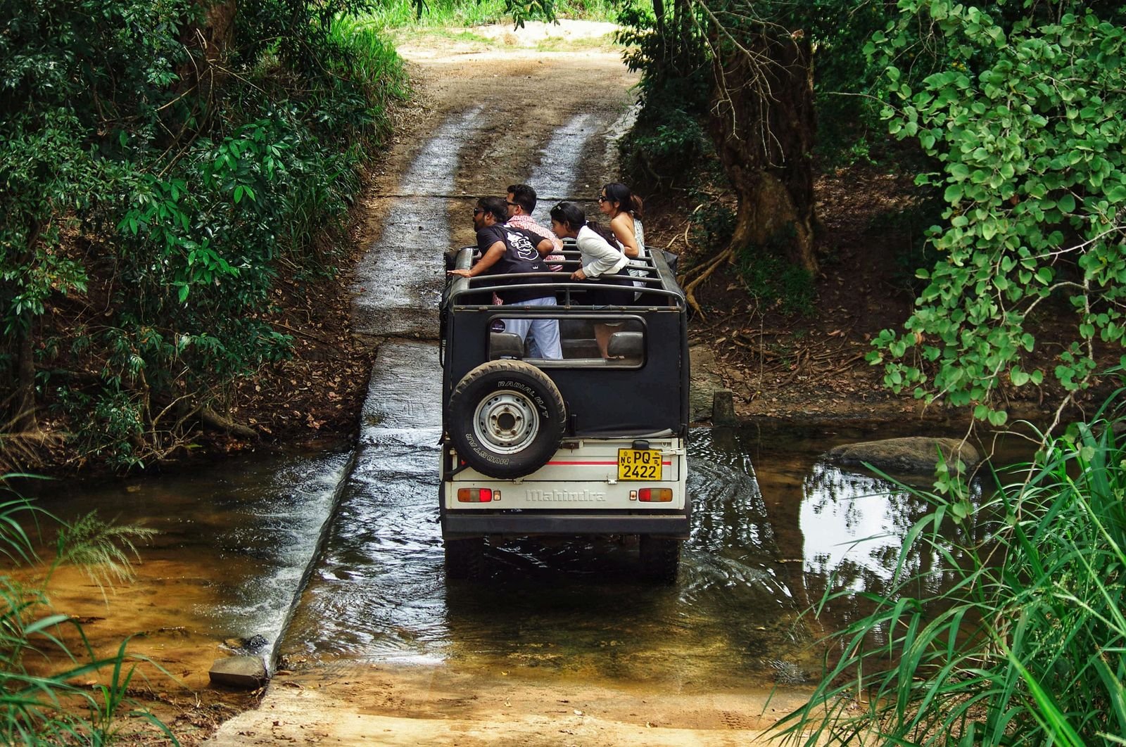 Safari & Tours